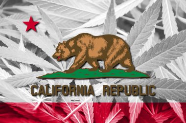 California Devlet bayrağı esrar arka plan üzerinde. Uyuşturucu politikası. Marihuana yasallaştırma