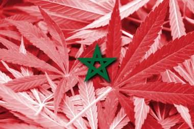 Fas bayrak esrar arka plan üzerinde. Uyuşturucu politikası. Marihuana yasallaştırma
