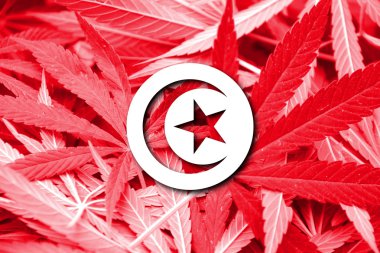 Tunus bayrağı esrar arka plan üzerinde. Uyuşturucu politikası. Marihuana yasallaştırma