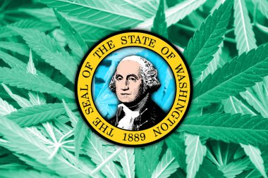 Washington Devlet bayrağı esrar arka plan üzerinde. Uyuşturucu politikası. Marihuana yasallaştırma