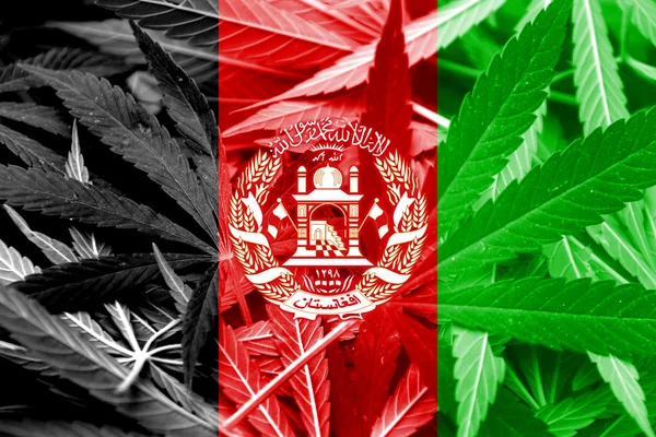 Afghanistan flagga på cannabis bakgrund. Narkotikapolitik. Legalisering av marijuana — Stockfoto