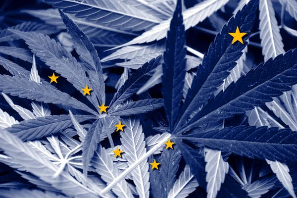 Alaska State Flag su sfondo cannabis. Politica sulle droghe. Legalizzazione della marijuana — Foto Stock