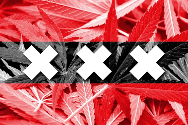 Amsterdam stad vlag op cannabis achtergrond. beleid van de drug. legalisatie van marihuana — Stockfoto