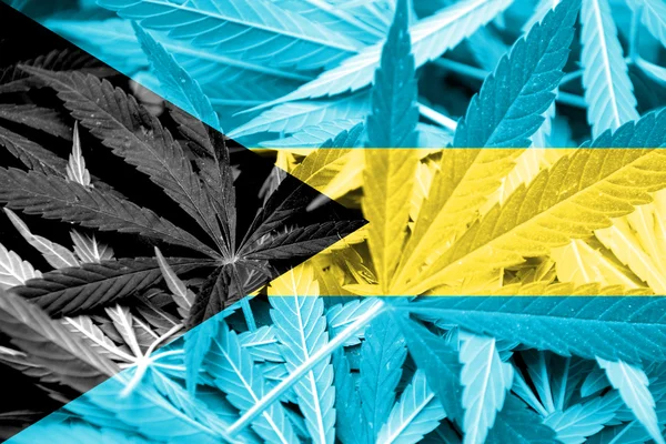 De vlag van de Bahamas op cannabis achtergrond. Beleid van de drug. Legalisatie van marihuana — Stockfoto