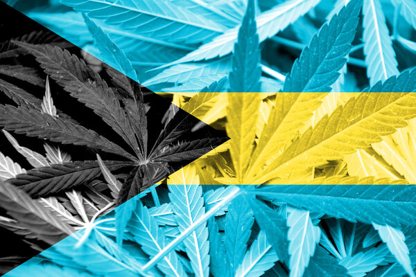 Bahamas Flag on cannabis background. Drug policy. Legalization of marijuana
