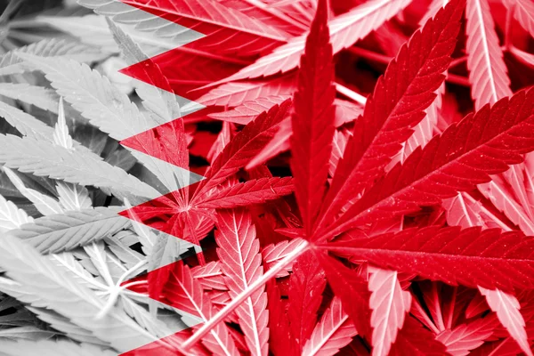 Bahrains flagga på cannabis bakgrund. Narkotikapolitik. Legalisering av marijuana — Stockfoto