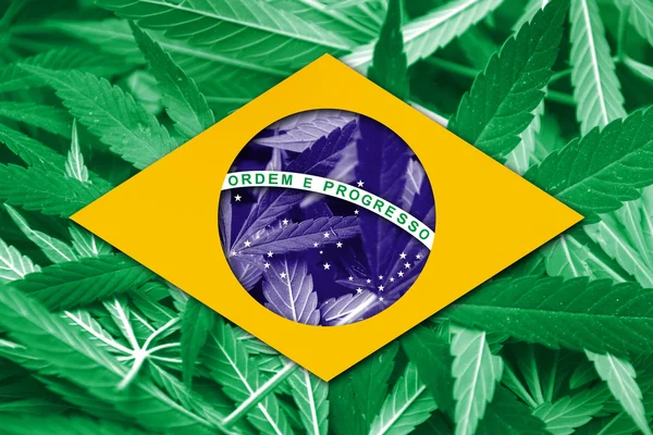 De vlag van Brazilië op cannabis achtergrond. Beleid van de drug. Legalisatie van marihuana — Stockfoto