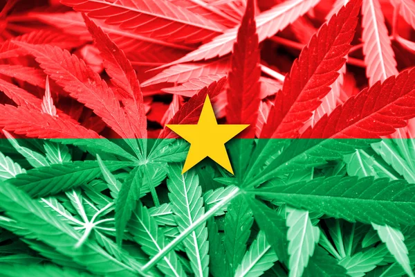 Burkina Faso flagi na tle konopi. Polityki antynarkotykowej. Legalizacja marihuany — Zdjęcie stockowe