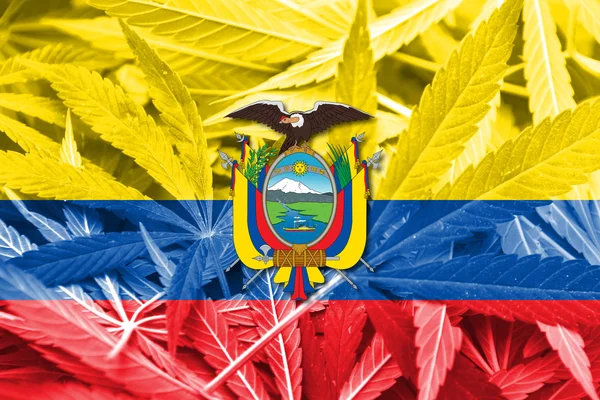 Ekvador bayrak esrar arka plan üzerinde. Uyuşturucu politikası. Marihuana yasallaştırma — Stok fotoğraf