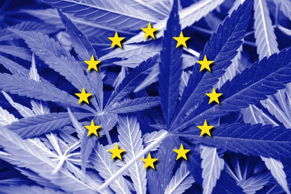 大麻の背景に欧州連合の旗。薬物政策。マリファナの合法化 — ストック写真