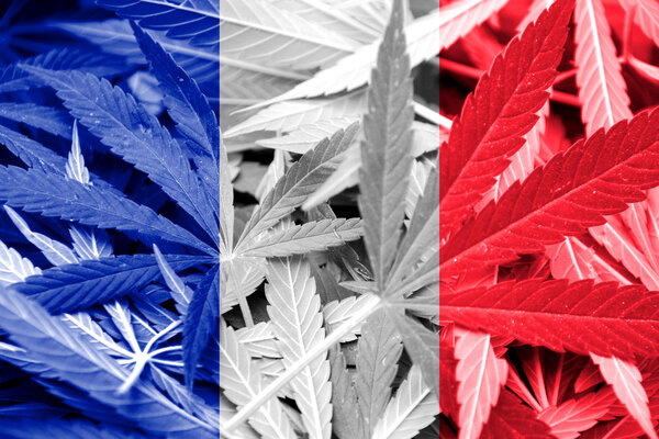 France Flag on cannabis background. Drug policy. Legalization of marijuana