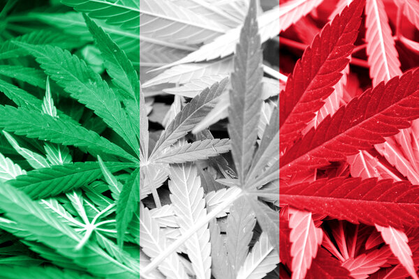 Italy Flag on cannabis background. Drug policy. Legalization of marijuana