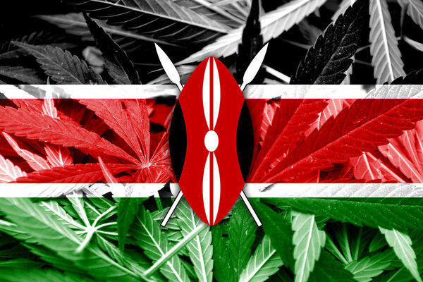 Kenya Flag on cannabis background. Drug policy. Legalization of marijuana