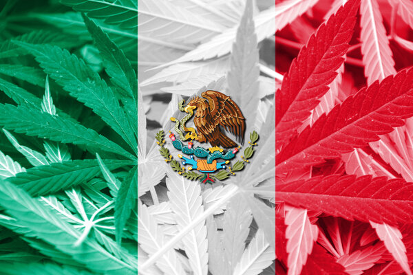 Mexico Flag on cannabis background. Drug policy. Legalization of marijuana