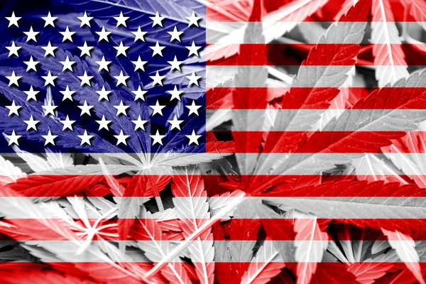 USA Drapeau sur fond de cannabis. Politique sur les drogues. Légalisation de la marijuana — Photo