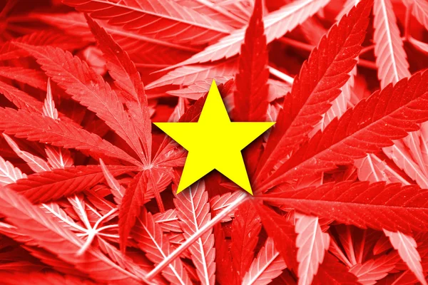 Vietnam bayrağı esrar arka plan üzerinde. Uyuşturucu politikası. Marihuana yasallaştırma — Stok fotoğraf