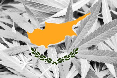 Kıbrıs bayrağı esrar arka plan üzerinde. Uyuşturucu politikası. Marihuana yasallaştırma