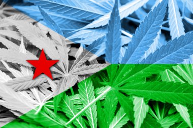 Cibuti bayrağı esrar arka plan üzerinde. Uyuşturucu politikası. Marihuana yasallaştırma