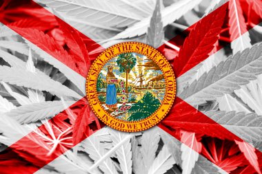 Florida Devlet bayrağı esrar arka plan üzerinde. Uyuşturucu politikası. Marihuana yasallaştırma