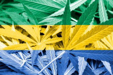 Gabon bayrak esrar arka plan üzerinde. Uyuşturucu politikası. Marihuana yasallaştırma