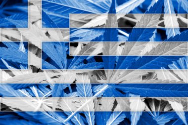 Yunanistan bayrağı esrar arka plan üzerinde. Uyuşturucu politikası. Marihuana yasallaştırma