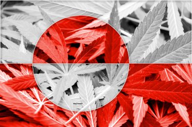 Grönland bayrak esrar arka plan üzerinde. Uyuşturucu politikası. Marihuana yasallaştırma