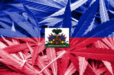 Haiti bayrak esrar arka plan üzerinde. Uyuşturucu politikası. Marihuana yasallaştırma