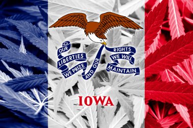 Iowa State Flag on cannabis background. Drug policy. Legalization of marijuana clipart
