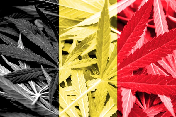 Belgium Flag on cannabis background. Drug policy. Legalization of marijuana — Stock Photo, Image