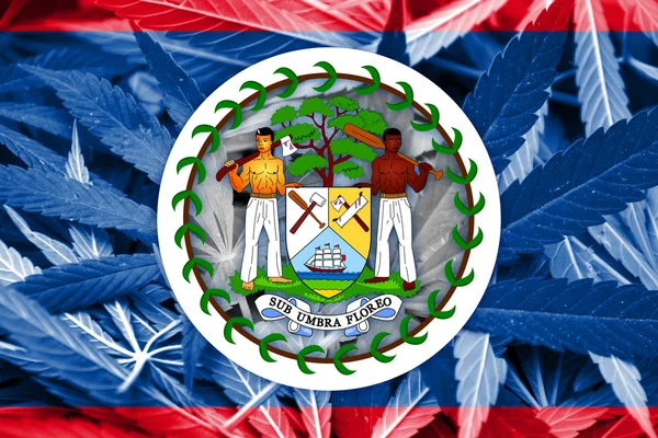 Bandera de Belice sobre fondo de cannabis. Política de drogas. Legalización de la marihuana —  Fotos de Stock