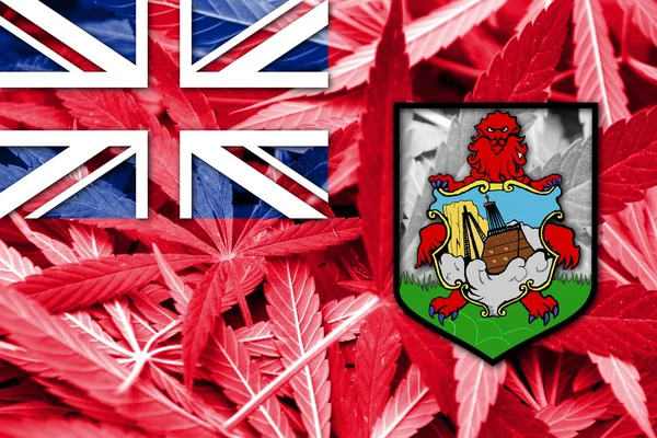 Bermuda Flag on cannabis background. Drug policy. Legalization of marijuana — Stock Photo, Image