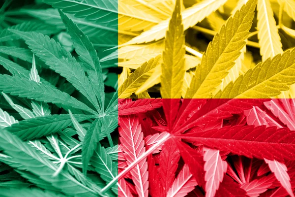 Bandiera Benin su sfondo cannabis. Politica sulle droghe. Legalizzazione della marijuana — Foto Stock