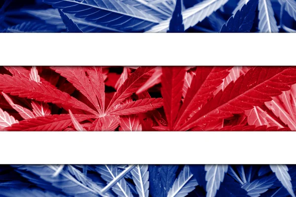 Costa Rica Flagge auf Cannabis Hintergrund. Drogenpolitik. Legalisierung von Marihuana — Stockfoto