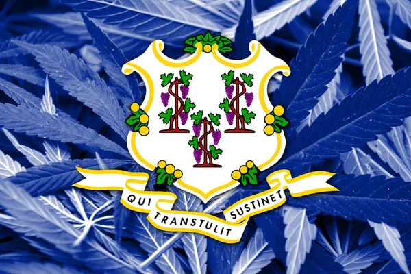 Bandera del Estado de Connecticut sobre el fondo del cannabis. Política de drogas. Legalización de la marihuana —  Fotos de Stock