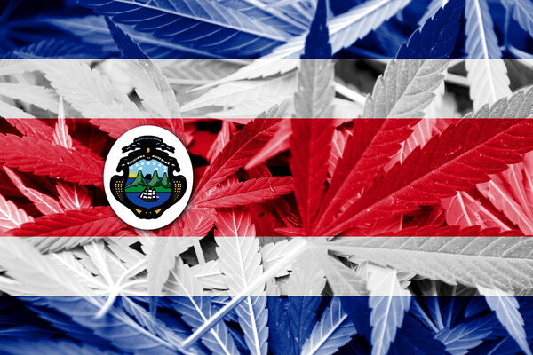 Costa Rica Flag on cannabis background. Drug policy. Legalization of marijuana