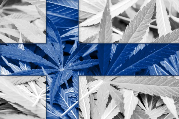 Finlands flagga på cannabis bakgrund. Narkotikapolitik. Legalisering av marijuana — Stockfoto