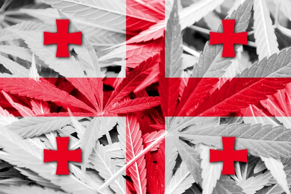 Gambia Flag on cannabis background. Drug policy. Legalization of marijuana — Stock Photo, Image