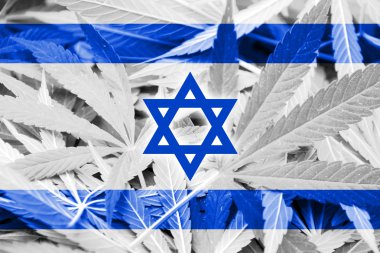 İsrail bayrağı esrar arka plan üzerinde. Uyuşturucu politikası. Marihuana yasallaştırma