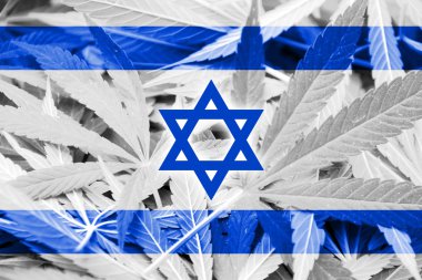 Israel Flag on cannabis background. Drug policy. Legalization of marijuana clipart
