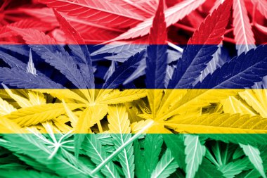 Mauritius bayrak esrar arka plan üzerinde. Uyuşturucu politikası. Marihuana yasallaştırma
