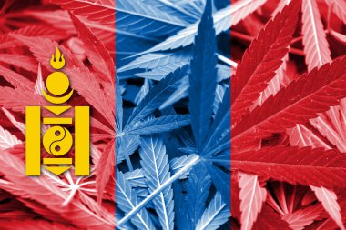 Moğolistan bayrağı esrar arka plan üzerinde. Uyuşturucu politikası. Marihuana yasallaştırma
