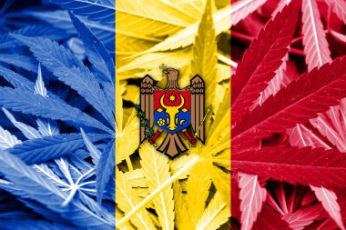 Moldova bayrağı esrar arka plan üzerinde. Uyuşturucu politikası. Marihuana yasallaştırma