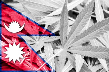 Nepal bayrağı esrar arka plan üzerinde. Uyuşturucu politikası. Marihuana yasallaştırma