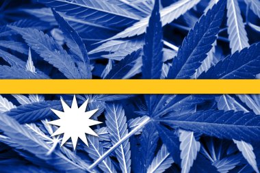 Nauru bayrak esrar arka plan üzerinde. Uyuşturucu politikası. Marihuana yasallaştırma