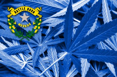 Nevada Devlet bayrağı esrar arka plan üzerinde. Uyuşturucu politikası. Marihuana yasallaştırma