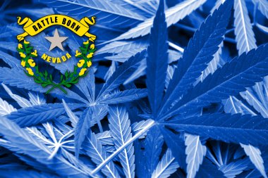 Nevada State Flag on cannabis background. Drug policy. Legalization of marijuana clipart