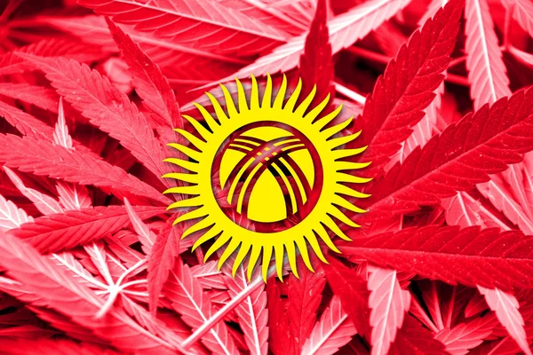 Bandeira do Quirguistão sobre fundo de cannabis. Política de drogas. Legalização da maconha — Fotografia de Stock