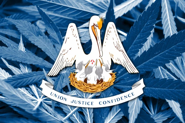 De vlag van Louisiana op cannabis achtergrond. Beleid van de drug. Legalisatie van marihuana — Stockfoto