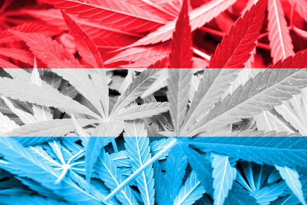 Luxemburg zászlaja a kannabisz háttér. A kábítószer-politika. A marihuána legalizálása — Stock Fotó