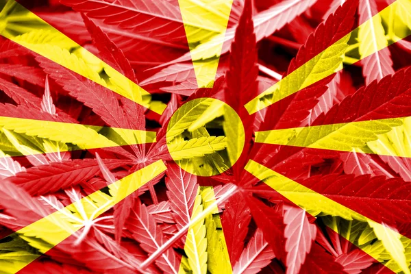 Macedónia Bandeira sobre fundo de cannabis. Política de drogas. Legalização da maconha — Fotografia de Stock